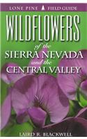 Wildflowers of the Sierra Nevada and the Central Valley