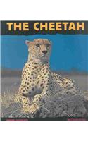 The Cheetah