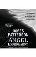 Angel Experiment