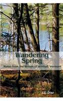 Wandering Spring