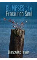Glimpses of a Fractured Soul