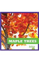 Maple Trees: (Nature Walk)