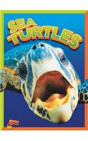 Sea Turtles