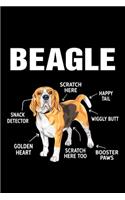 Beagle: Anatomy of a Beagle. Funny Dog Lined Notebook. Perfect Gift for Pet Owners and Lovers of Puppies.