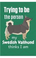 Trying to be the person my Swedish Vallhund thinks I am