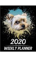 2020 Weekly Planner: Weekly & Monthly 2020 Planner Jan 1 2020 to Dec 31 2020 With Calendar Views, 1 Year Planner + Important Holiday Dates, Yorkshire Terrier Dog Cover