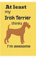 At least My Irish Terrier thinks I'm awesome