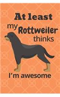 At least my Rottweiler thinks I'm awesome