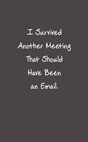 I Survived Another Meeting That Should Have Been An Email: Funny Office Gifts For Coworker