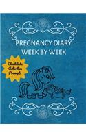 Pregnancy Diary Week By Week