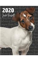 2020 Jack Russell: Dated Weekly Planner With To Do Notes & Dog Quotes