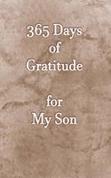 365 Days of Gratitude for My Son