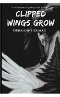 Clipped Wings Grow