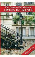 The Grown-Up's Guide to Living in France