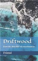 Driftwood: from the shoreline of consciousness(1 Friend)