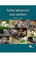 Feline Behaviour and Welfare