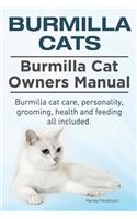 Burmilla Cats. Burmilla Cat Owners Manual. Burmilla cat care, personality, grooming, health and feeding all included.