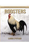 Roosters