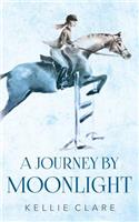 A Journey by Moonlight
