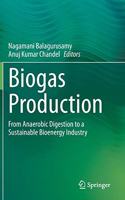 Biogas Production