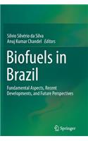 Biofuels in Brazil