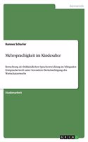 Mehrsprachigkeit im Kindesalter: Betrachtung der frühkindlichen Sprachentwicklung im bilingualen Erstspracherwerb unter besonderer Berücksichtigung des Wortschatzerwerbs