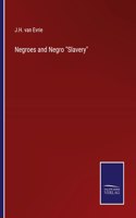Negroes and Negro Slavery