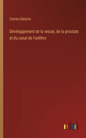 Développement de la vessie, de la prostate et du canal de l'uréthre