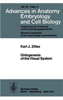 Ontogenesis of the Visual System