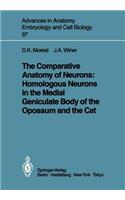 Comparative Anatomy of Neurons: Homologous Neurons in the Medial Geniculate Body of the Opossum and the Cat
