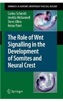 Role of Wnt Signalling in the Development of Somites and Neural Crest