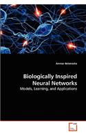 Biologically Inspired Neural Networks: (English)
