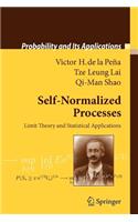 Self-Normalized Processes