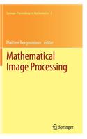 Mathematical Image Processing