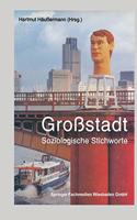 Grossstadt: Soziologische Stichworte