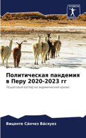 &#1055;&#1086;&#1083;&#1080;&#1090;&#1080;&#1095;&#1077;&#1089;&#1082;&#1072;&#1103; &#1087;&#1072;&#1085;&#1076;&#1077;&#1084;&#1080;&#1103; &#1074; &#1055;&#1077;&#1088;&#1091; 2020-2023 &#1075;&#1075;