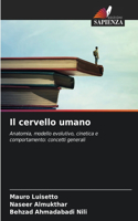 cervello umano