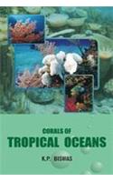 Corals of Tropical Oceans