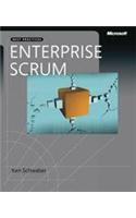The Enterprise And Scrum