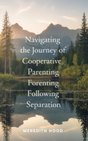 Navigating the Journey of Cooperative Parenting Following Separation