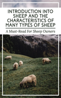 Introduction Into Sheep And The Characteristics Of Many Types Of Sheep