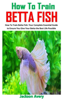 How to Train Betta Fish