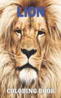 LION Coloring Book: For Adults and Kids - The king of animals -Big Cat Designs