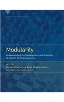 Modularity: Understanding the Development and Evolution of Natural Complex Systems