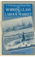 Working Class in the Labour Market
