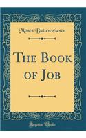 The Book of Job (Classic Reprint)