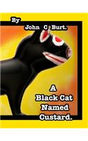 A Black Cat Named Custard.