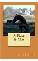 Place to Stay