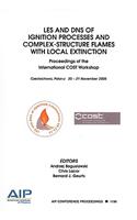LES and DNS of Ignition Process and Complex-Structure Flames with Local Extinction