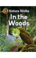 In the Woods